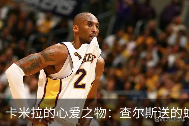 卡米拉的心爱之物：查尔斯送的蛇形项链，戴了20多年和她绝配
