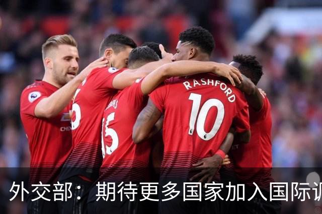 外交部：期待更多国家加入国际调解院