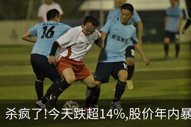 杀疯了!今天跌超14%,股价年内暴跌95.37%,从最高14.24砸到0.66!