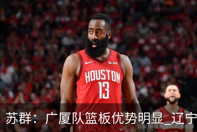 苏群：广厦队篮板优势明显 辽宁队前途凶险