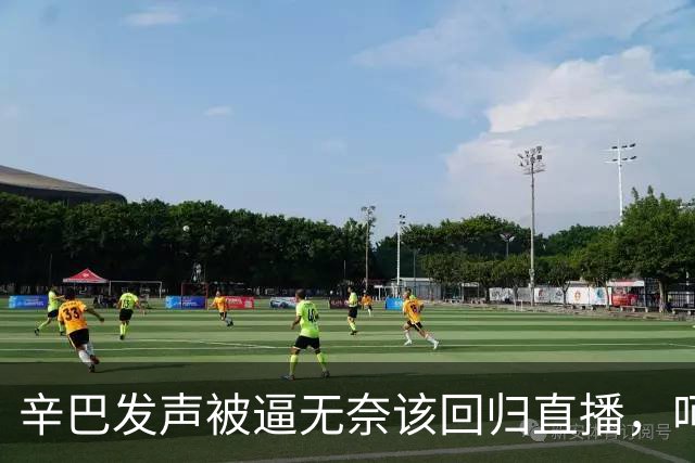 辛巴发声被逼无奈该回归直播，呵斥ks平台搞虚假繁荣